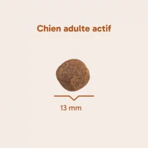 Croquettes au saumon chien actif sans céréales Le Kabo