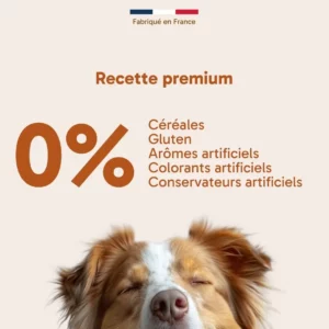 Croquettes au saumon chien actif sans céréales Le Kabo