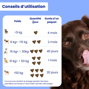 Complément Articulations - Arthrose Chien - Weloca