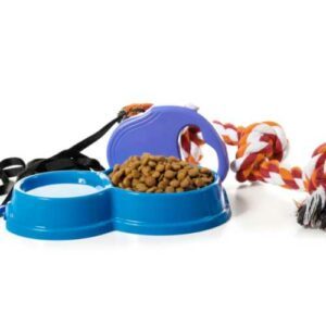 accessoires chien : laisse, gamelle, jouets ...