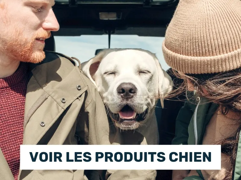 Boutique alimentation chien