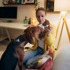 chien qui mange de l'huile riche en oméga 3