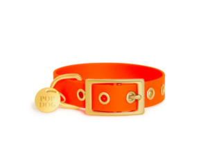 Pop Dog Collier œillets Chien Orange Foufou