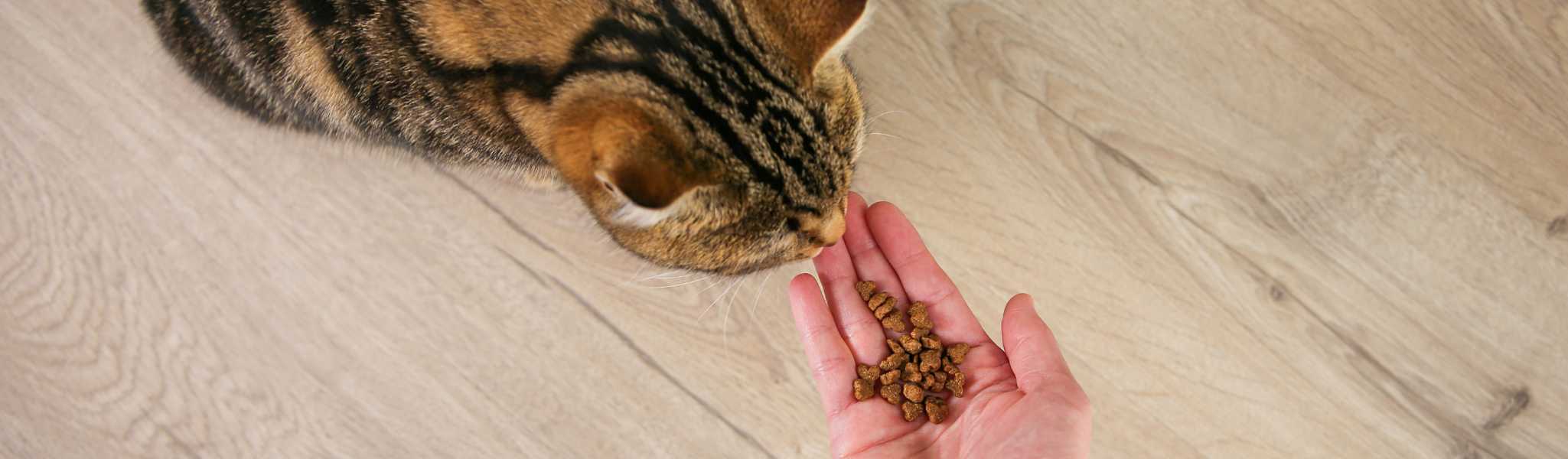 Croquettes Sensitive Cat Low Grain Wolfood 10kg