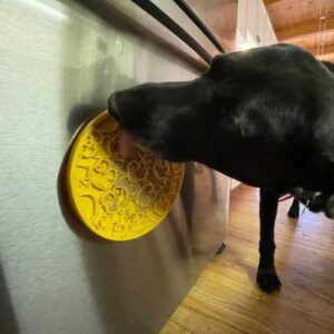 tapis de léchage pour chien