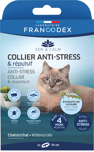 🐱 Le chat est le remède anti-stress 